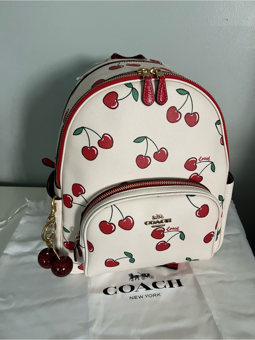 Coach Court Backpack With Heart Cherry Print - Picture 6 of 12